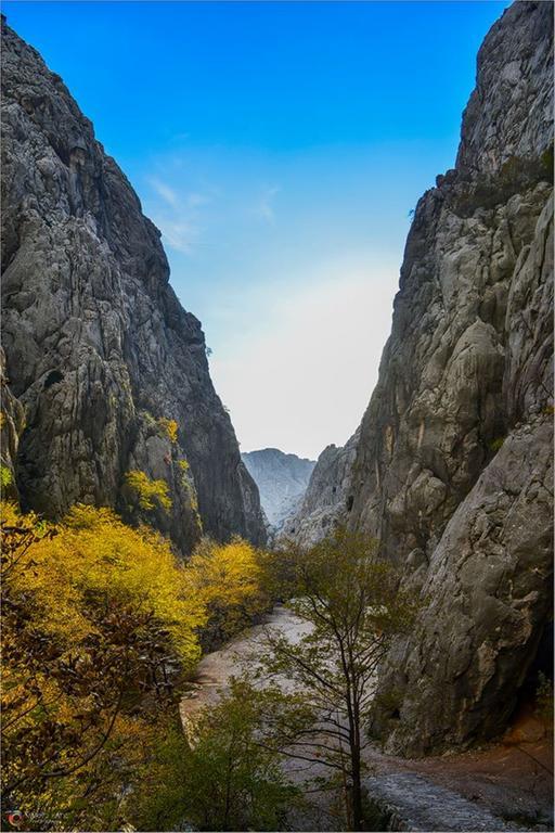 Apartment Savic Starigrad Paklenica Exteriér fotografie